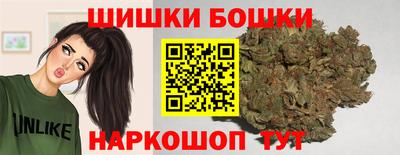 гидропоника Камышлов