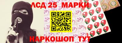 гидропоника Камышлов