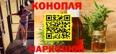 гидропоника Камышлов