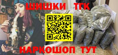 гидропоника Камышлов