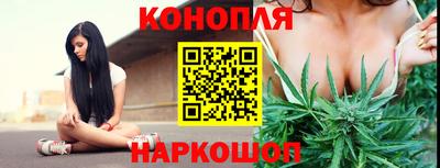 гидропоника Камышлов